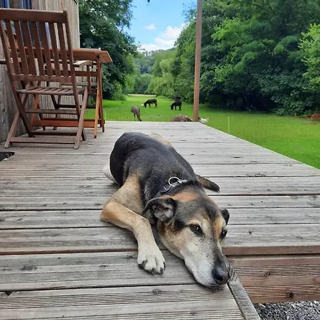 L'arche De Noe Dinant