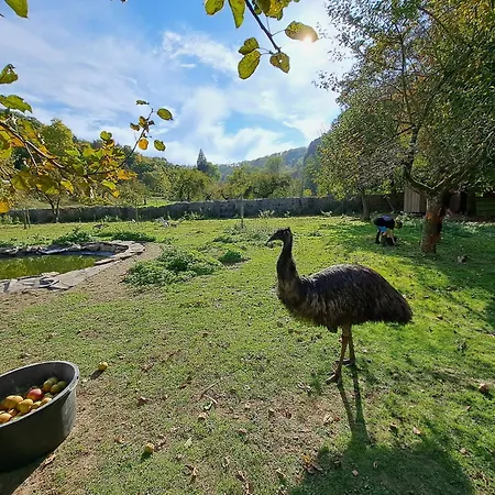 L'arche De Noe Holiday home