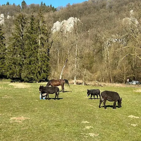 Ferienhaus L'arche De Noe *