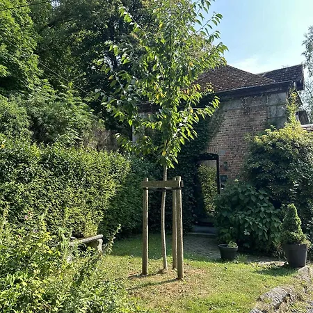 L'arche De Noe