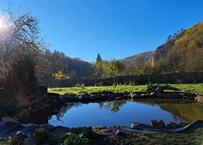 L'arche De Noe * Ντινάντ