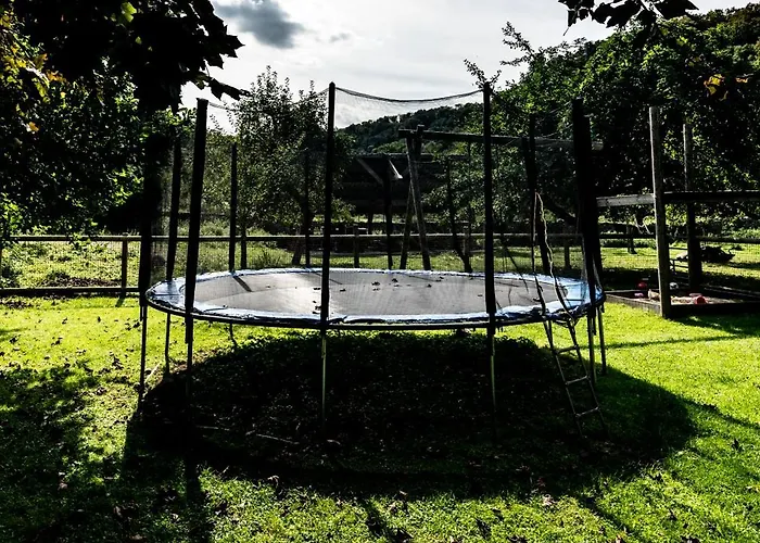 L'arche De Noe