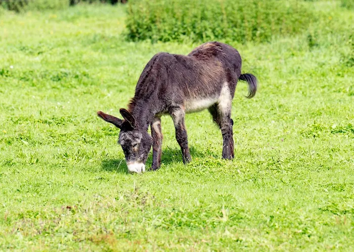 L'arche De Noe Σπίτι διακοπών