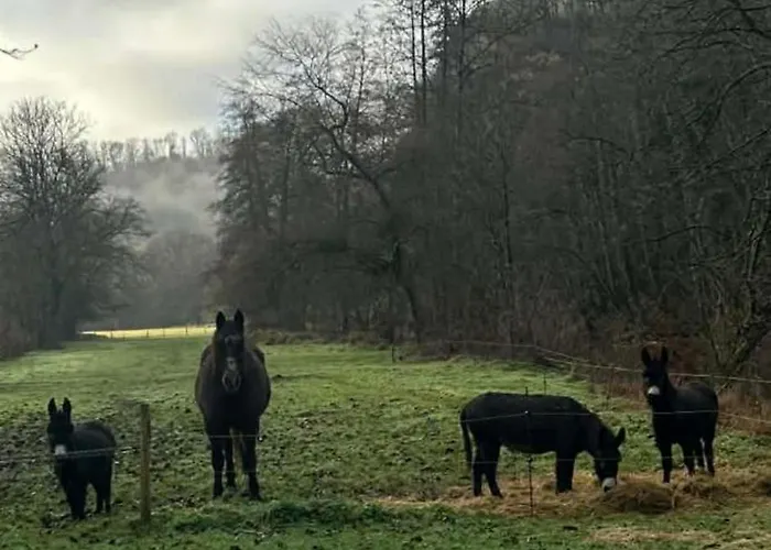 Σπίτι διακοπών L'arche De Noe Ντινάντ